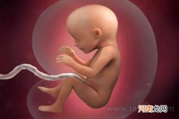 怀孕1一40周真人过程图 怀孕三个月半胎儿图