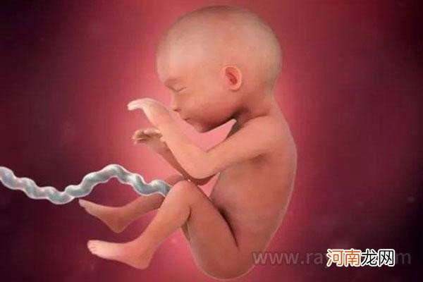 怀孕1一40周真人过程图 怀孕三个月半胎儿图