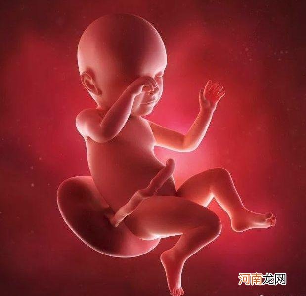 胎儿孕8月突然长得慢 孕晚期胎儿偏小越来越多