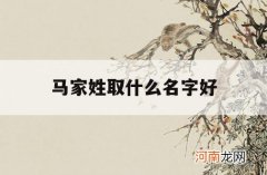 马家姓取什么名字好_马姓取什么名字好听