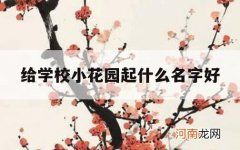 给学校小花园起什么名字好_好听的学校花园名字大全