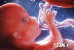 揭开胎儿发育的秘密--嗅觉