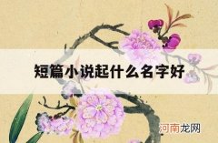 短篇小说起什么名字好_短篇小说怎么起名字