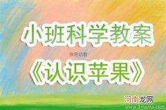 小班科学水果找朋友教案反思