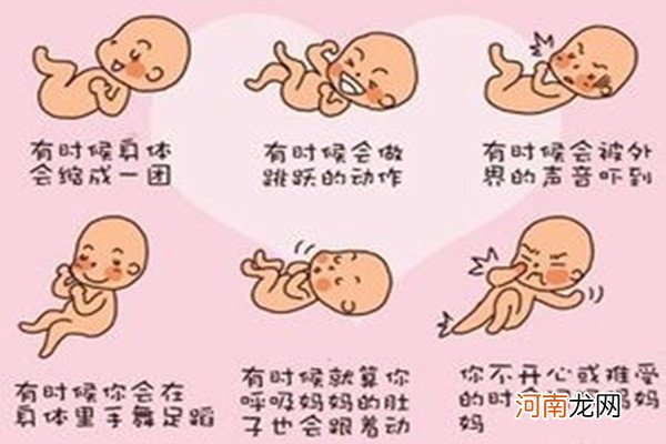怀男宝最明显的胎动 妈妈说怀男宝85%胎动厉害