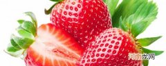 草莓常温能放多久 草莓常温能保存多久
