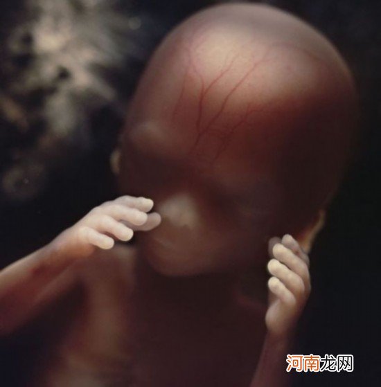 不要自摸子宫底测胎儿发育