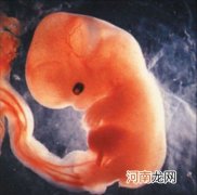 胎儿大小为啥和孕周不符