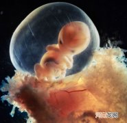 怀孕第9～12周胎儿的发育