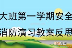 附教学反思 大班安全活动教案：119消防日活动教案