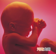孕中期母体变化及胎儿发育
