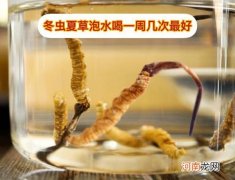 虫草长毛了还能吃吗怎么处理 虫草长毛了怎么办还可以吃吗