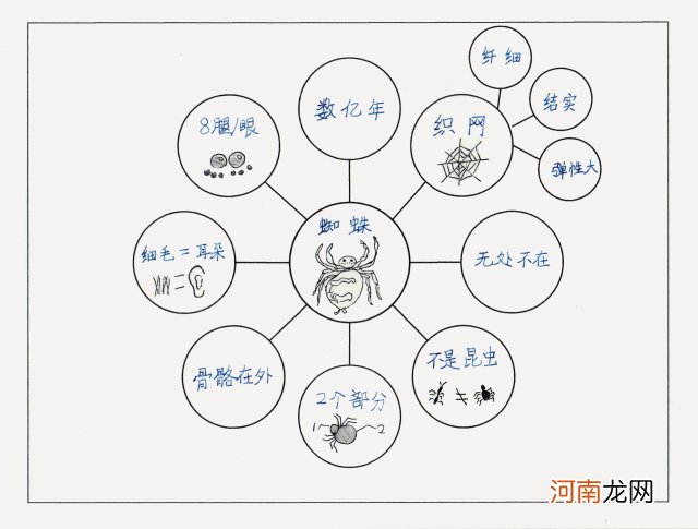 怀孕20周宝宝会干嘛