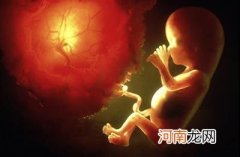 孕期胎儿在子宫里发育照