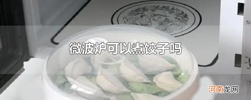 微波炉可以煮饺子吗