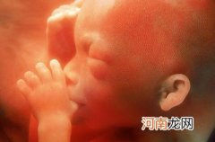 胎儿在母体内怎样生长