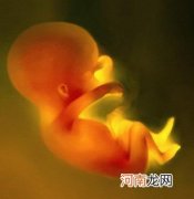 奇妙：胎宝宝的感官发育