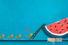 脉络丛囊肿吃什么好