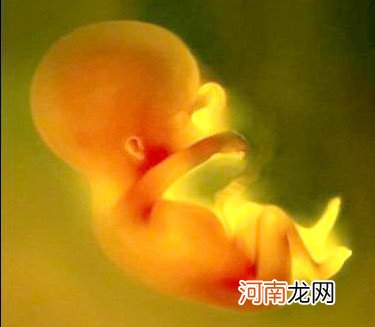 胎儿有超乎想像的适应能力