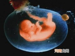 胎儿是怎样在母体中发育的