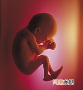 孕8月：胎宝宝对光很敏感
