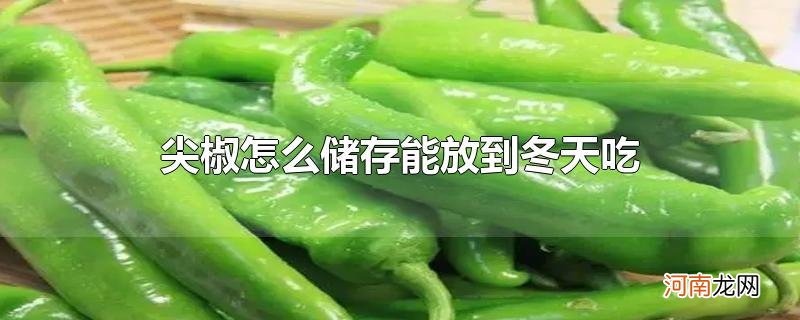 尖椒怎么储存能放到冬天吃