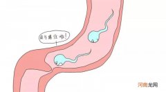 输卵管堵塞怎么能治好