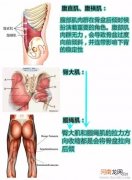 孕晚期小腹下面骨头疼