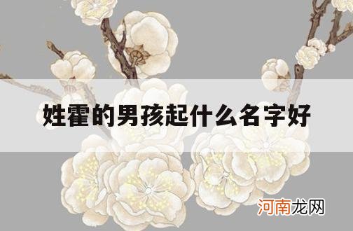 姓霍的男孩起什么名字好_姓霍的宝宝起名字