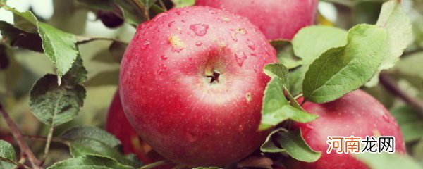 苹果常温能放多久 苹果如何保存