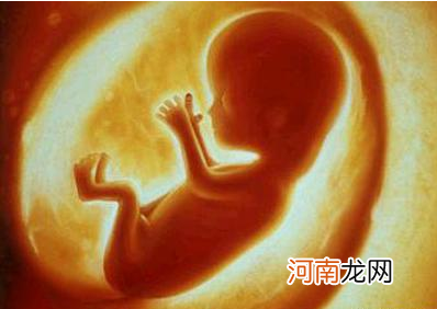 胎儿在妈妈肚子里到底有多聪明