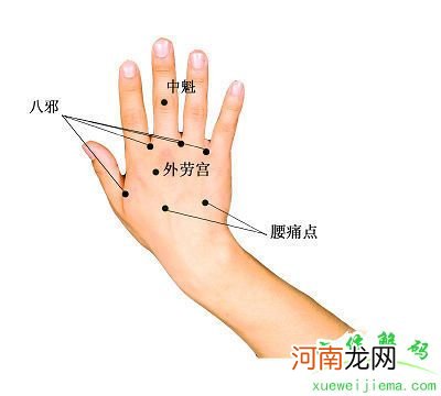 劳宫准确位置及作用