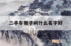 二手车贩子叫什么名字好_二手车贩子学名