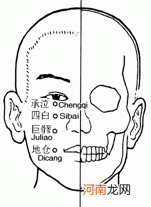 膻中的准确位置图片及功效