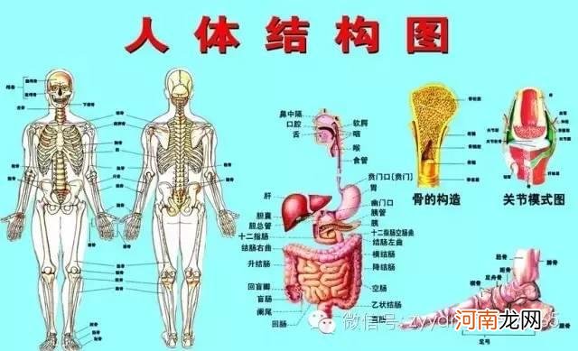 天突在人体的什么部位