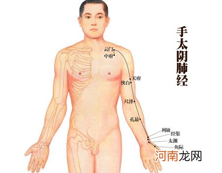 肺中穴在什么位置