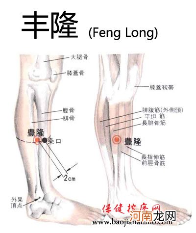 小儿丰隆穴的准确位置图