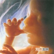 哪些因素会威胁“胎儿”成长