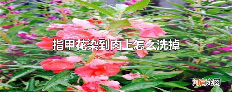 指甲花染到肉上怎么洗掉