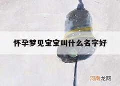 怀孕梦见宝宝叫什么名字好_梦见小孩名字是胎梦吗