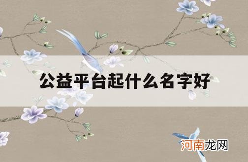 公益平台起什么名字好_做公益取个容易记住的名字