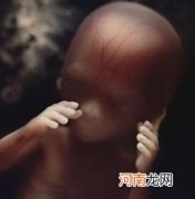 胎儿在十六周时的发育情况