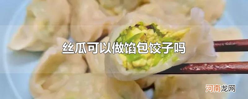 丝瓜可以做馅包饺子吗