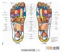 脚底穴位图痛什么病