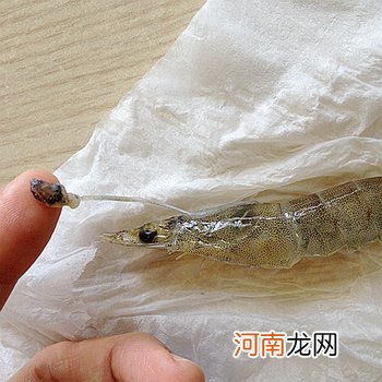 基围虾去虾线的绝招，基围虾虾线怎么去除？