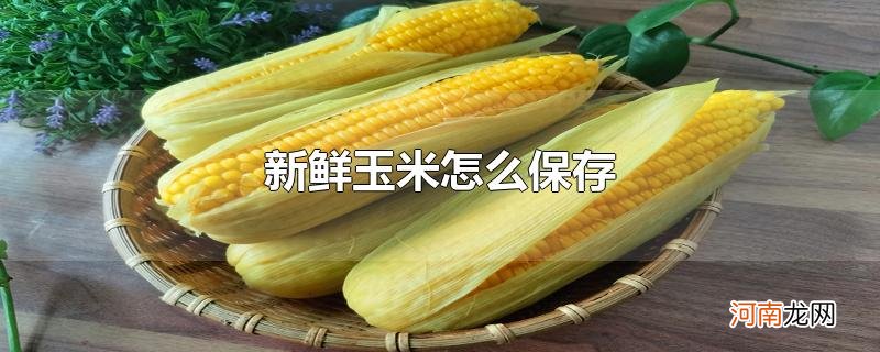新鲜玉米怎么保存