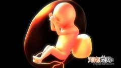 辨别胎儿性别小窍门