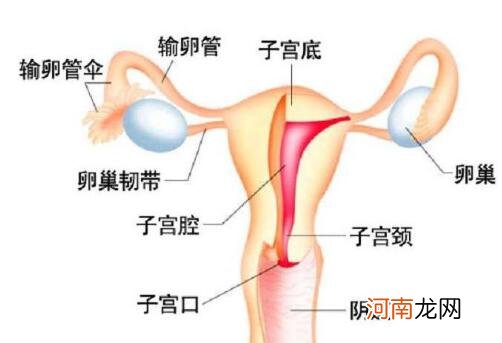 输卵管堵塞手术怎么做