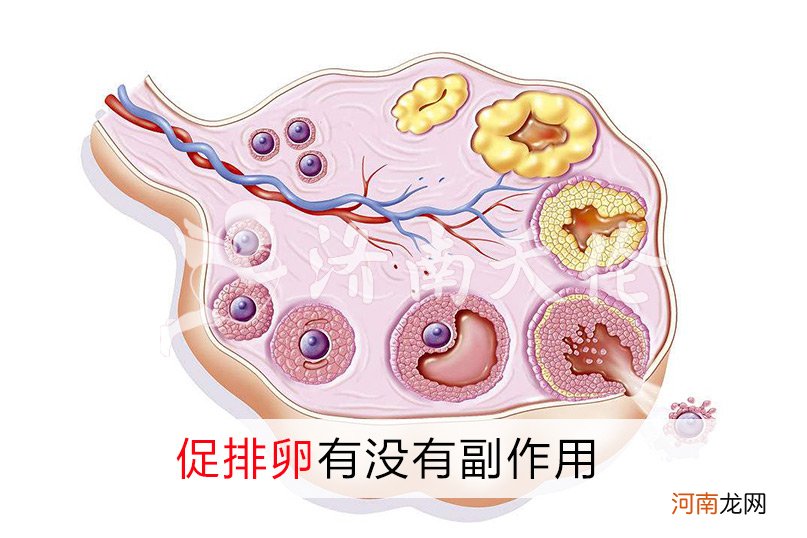 促排卵药的副作用