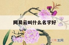 网易云叫什么名字好_网易云什么名字好听